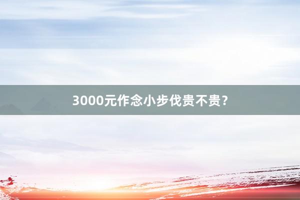 3000元作念小步伐贵不贵？