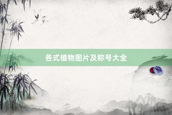 各式植物图片及称号大全