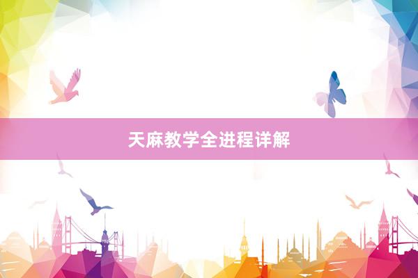 天麻教学全进程详解