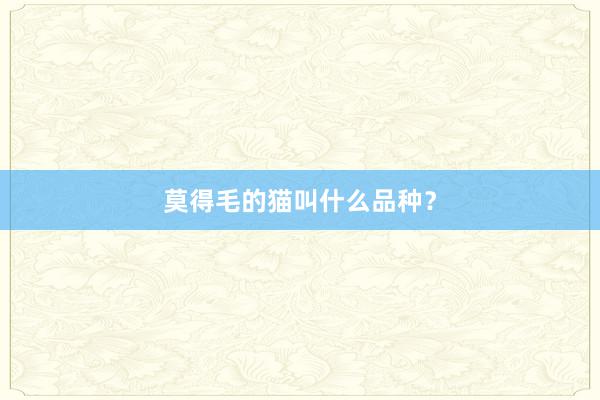莫得毛的猫叫什么品种？