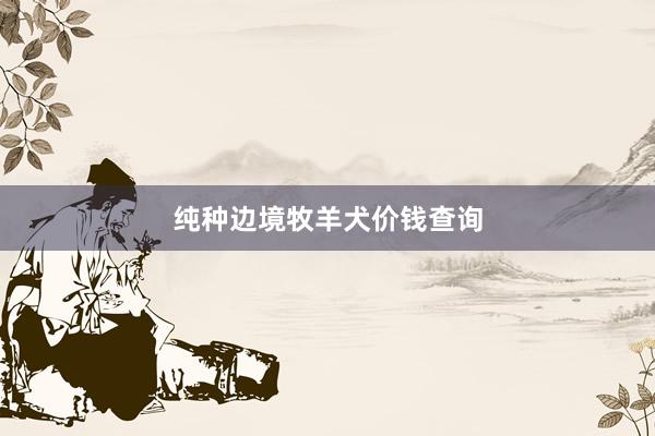 纯种边境牧羊犬价钱查询