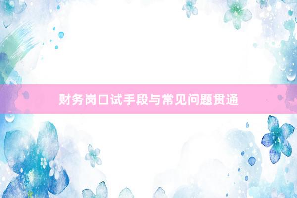 财务岗口试手段与常见问题贯通