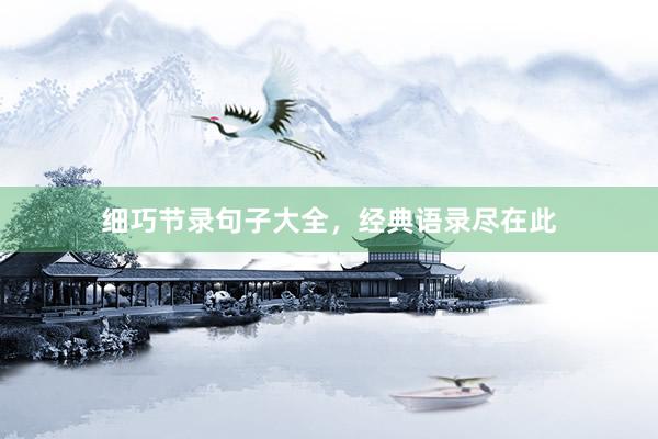 细巧节录句子大全，经典语录尽在此